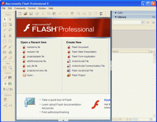 Macromedia Flash Player 8 Professional Download Macromedia Flash Player 8