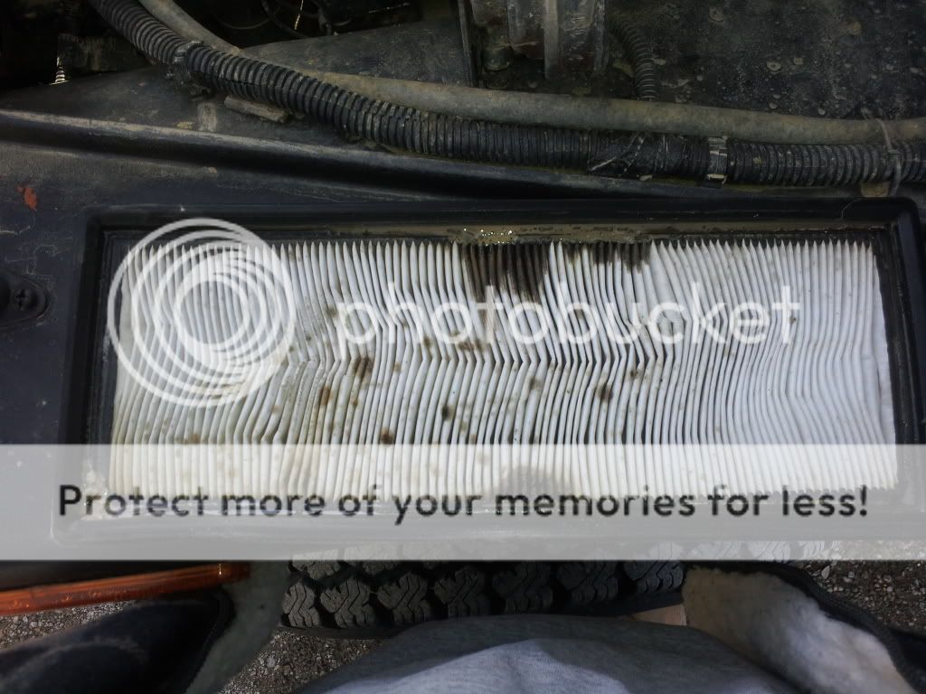 Possible Blown head gasket?? / Jeep Wrangler Forum