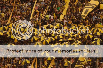 aurinegro aurinegro