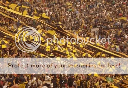 aurinegro aurinegro