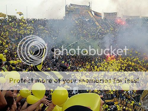 fotos fotos