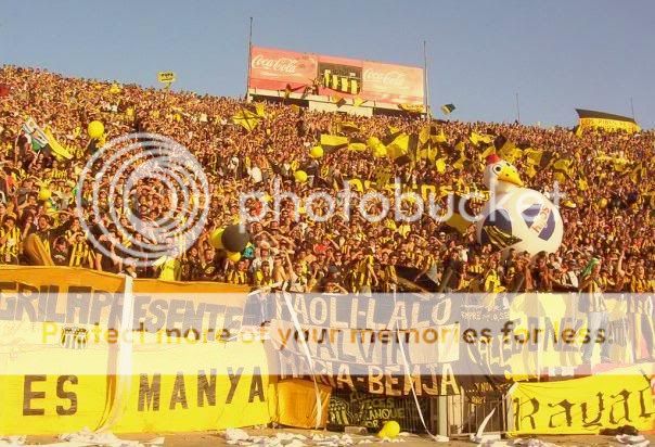 aurinegro aurinegro