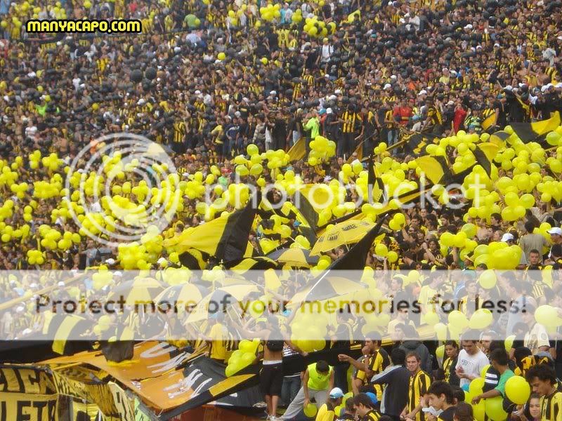 aurinegro aurinegro