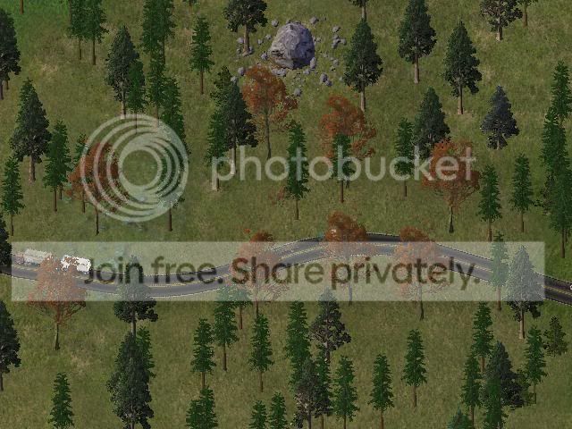 Seasonaltrees.jpg