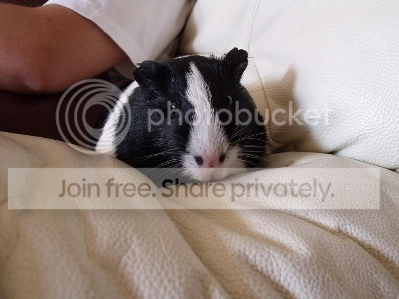 Buster1.jpg